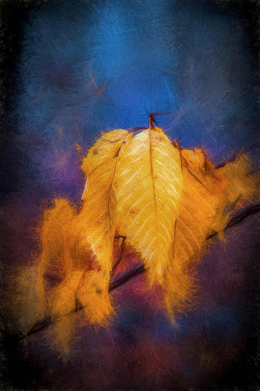 Fall Poster featuring the digital art Fall Leaves by Celso Bressan