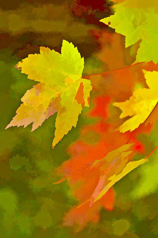 Fall Poster featuring the digital art Fall of Leaf by Ches Black