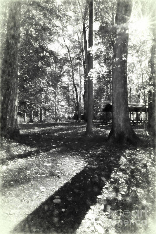 Fall Poster featuring the photograph Fall Picnic Bw Painted by Judy Wolinsky
