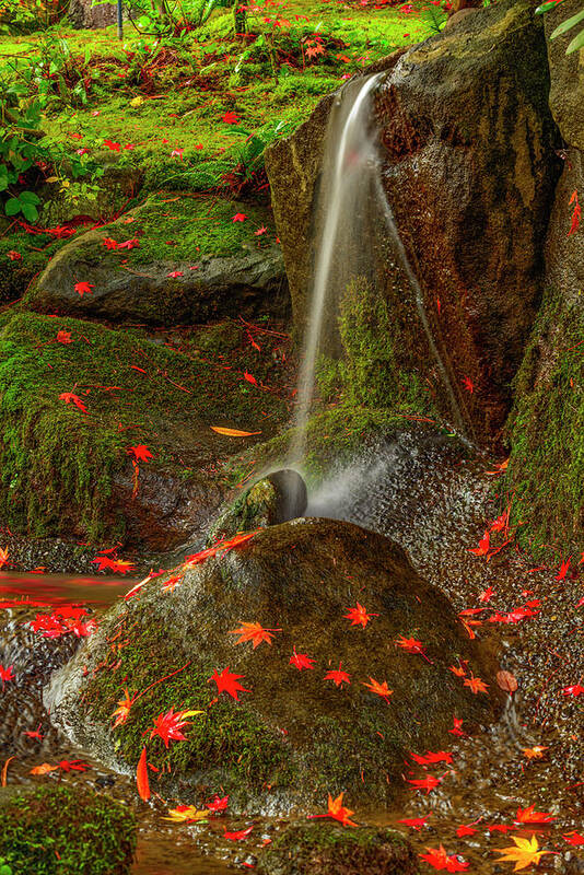 Water Fall Poster featuring the digital art Falls in Seattle Japanese Garden by Michael Lee