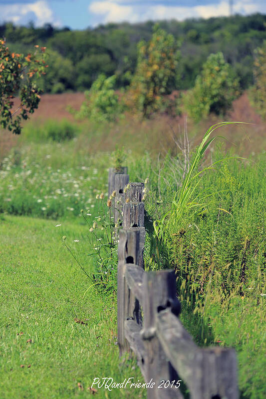 Fenceline Poster featuring the photograph Fenceline by PJQandFriends Photography