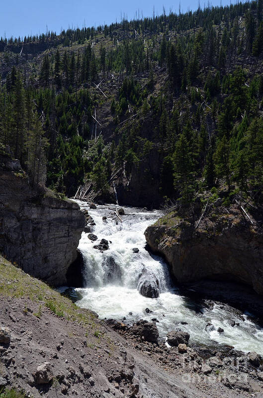 Yellowstone Poster featuring the photograph Firehole Falls Landscape Firehole River in Yellowstone National Park by Shawn O'Brien