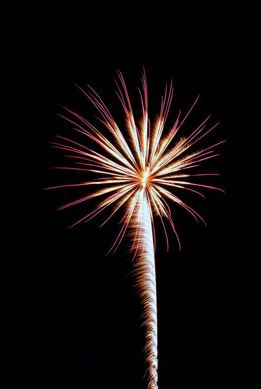 Fireworks Poster featuring the photograph Fireworks 004 by Larry Ward