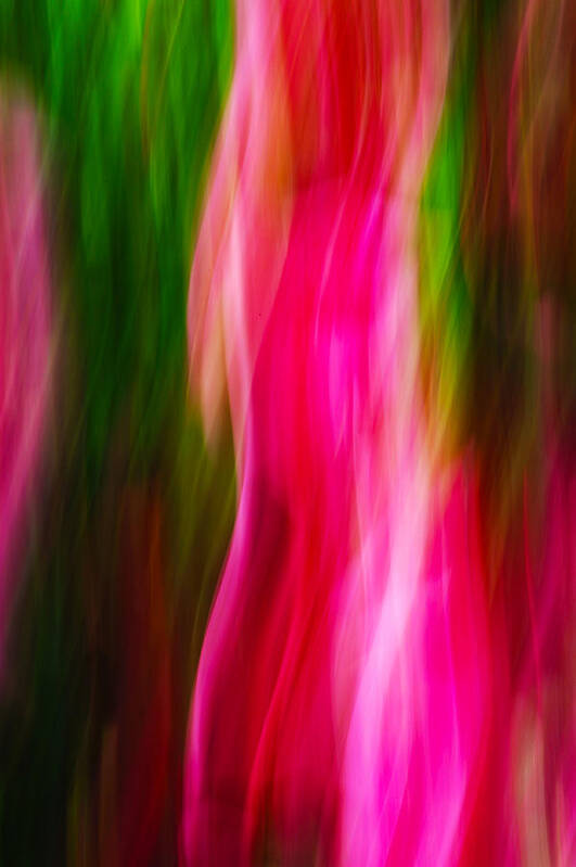 Abstract Poster featuring the photograph Flames Of Passion by Dick Pratt