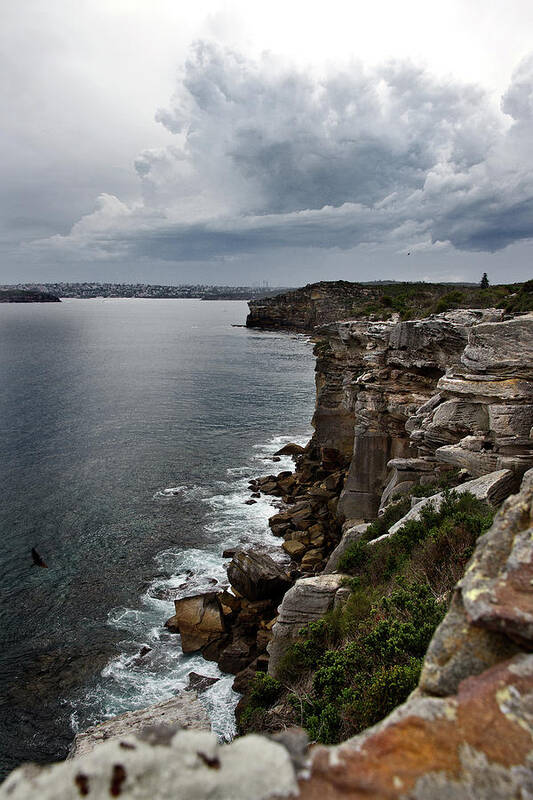 North Head Poster featuring the photograph Flying Before The Storm by Miroslava Jurcik