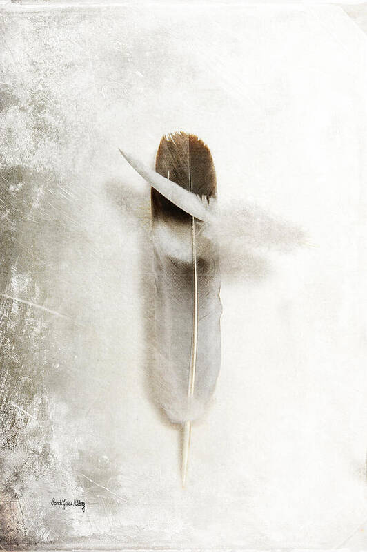 Feathers Poster featuring the photograph Flying Feathers by Randi Grace Nilsberg