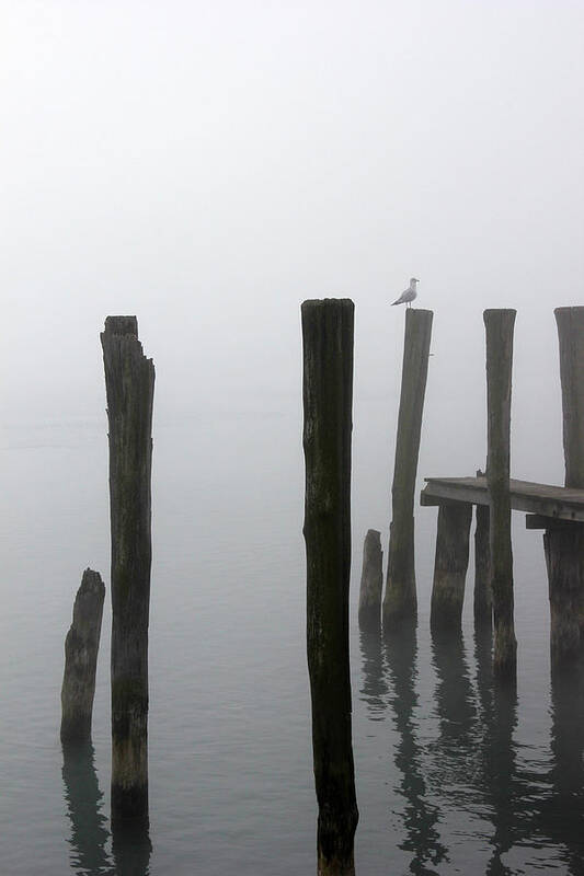 Pilings Poster featuring the photograph Foggy Dock with Gull 53 by Mary Bedy