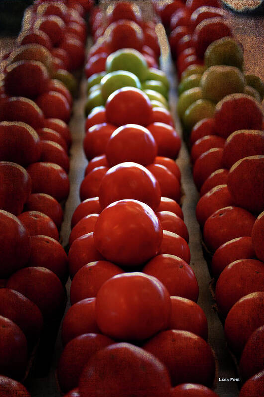Tomatoes Poster featuring the photograph Food Tomatoes Marching Maters by Lesa Fine
