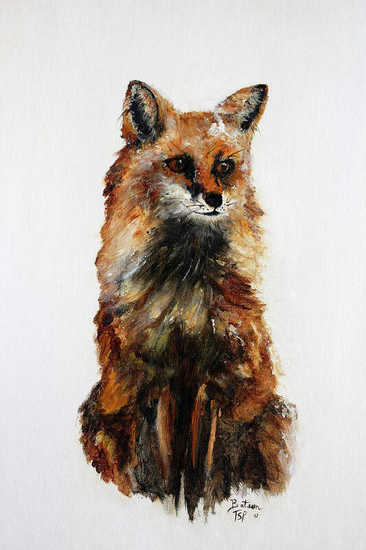 Fox Poster featuring the painting Fox - Acrylic Painting by Barbie Batson