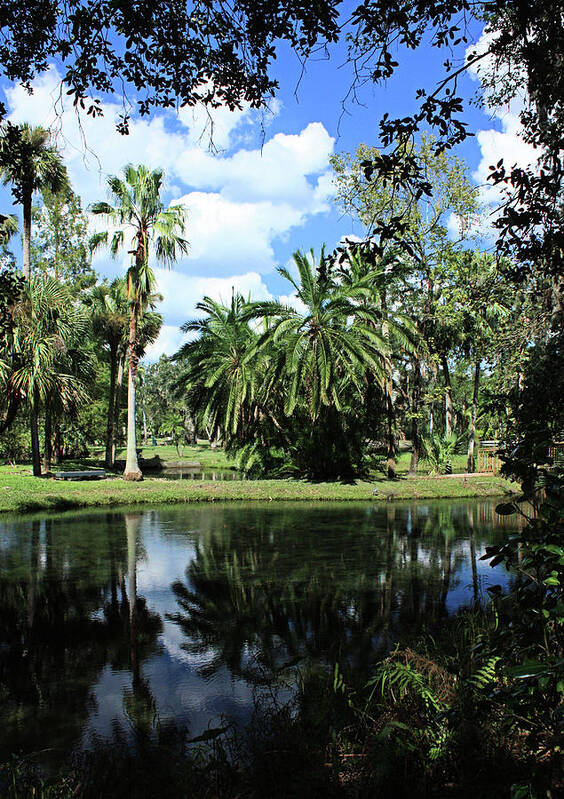 Tropical Poster featuring the photograph Framed and Reflected by Kristin Elmquist