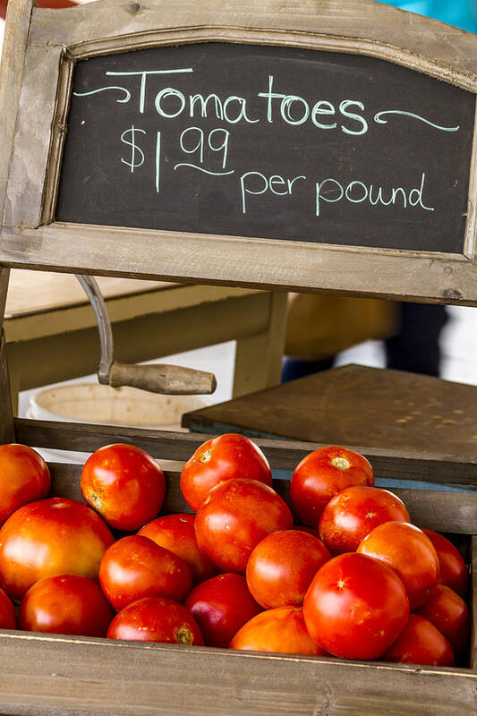 Baskets Poster featuring the photograph Fresh the Garden Tomatoes by Teri Virbickis