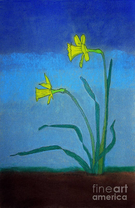 Flowers Poster featuring the painting Garden Daffodils by Norma Appleton
