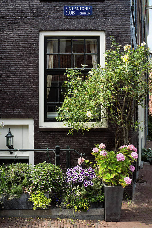 Amsterdam Poster featuring the photograph Garden in the City by Rebekah Zivicki