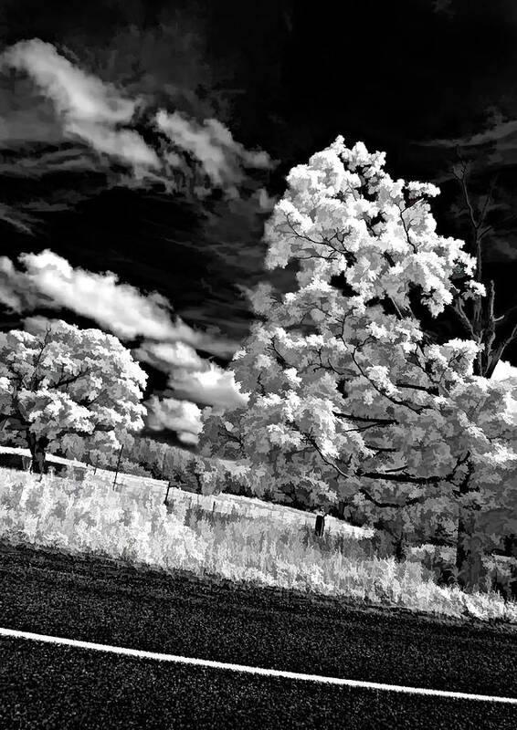 Infrared Poster featuring the photograph Goin' Down the Road buzzed by Steve Harrington