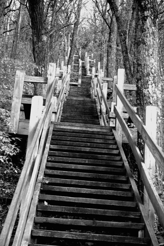 Stairs Poster featuring the photograph Going Up by JamieLynn Warber