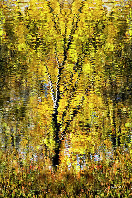 Impressionist Poster featuring the photograph Impressionist Tree Reflection by Christina Rollo
