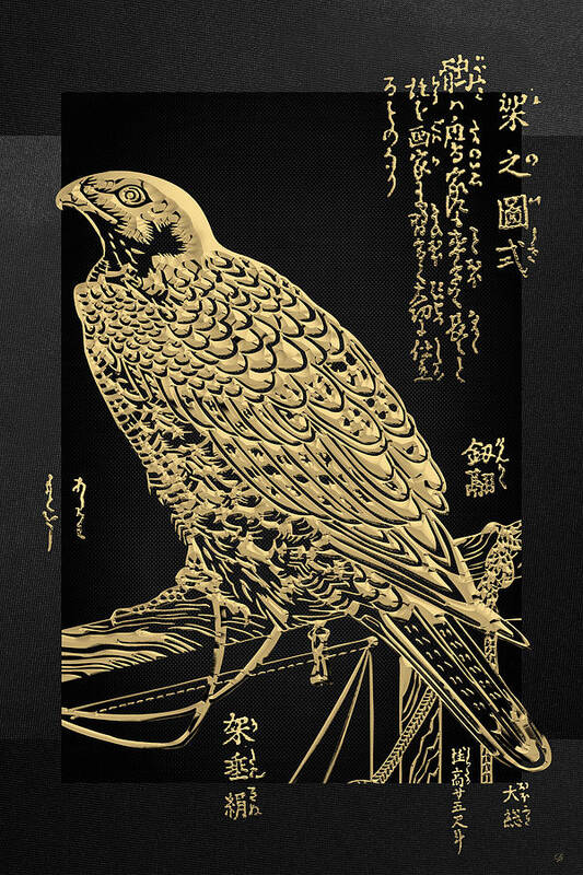 'treasures Of Japan' Collection By Serge Averbukh Poster featuring the digital art Golden Japanese Peregrine Falcon on Black Canvas by Serge Averbukh