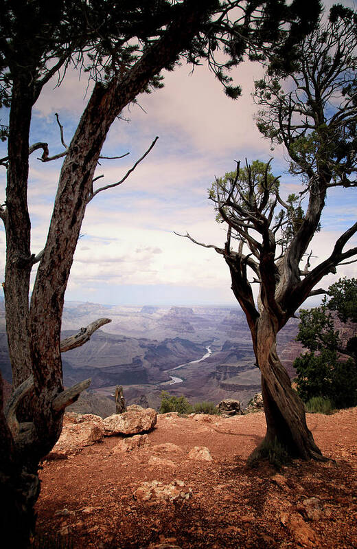 Grand Canyon Poster featuring the photograph Grand Canyon, AZ by James Bethanis