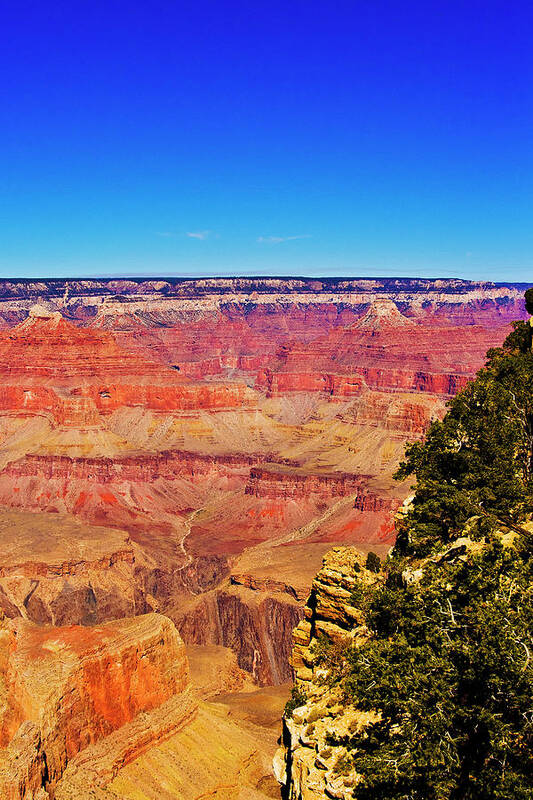 Grand Canyon Poster featuring the photograph Grand Conyon South Rim by Bill Barber