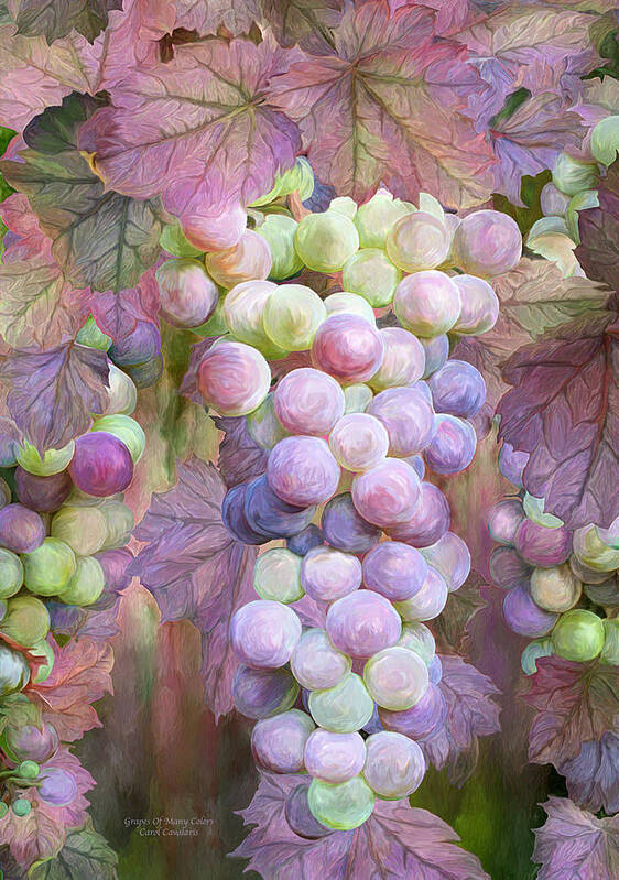 Grapes Poster featuring the mixed media Grapes Of Many Colors by Carol Cavalaris