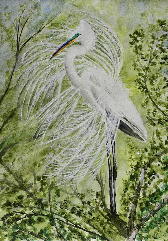 Linda Brody Poster featuring the painting Great White Egret Mating Display 1 by Linda Brody