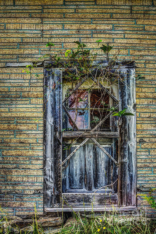 Abandoned Poster featuring the photograph Green Door by Roger Monahan