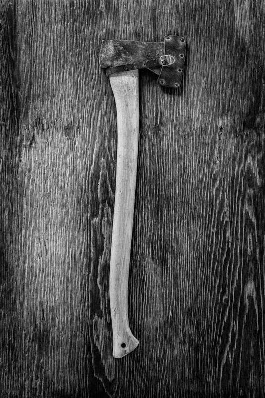 Axe Poster featuring the photograph Hand Forged Axe by YoPedro