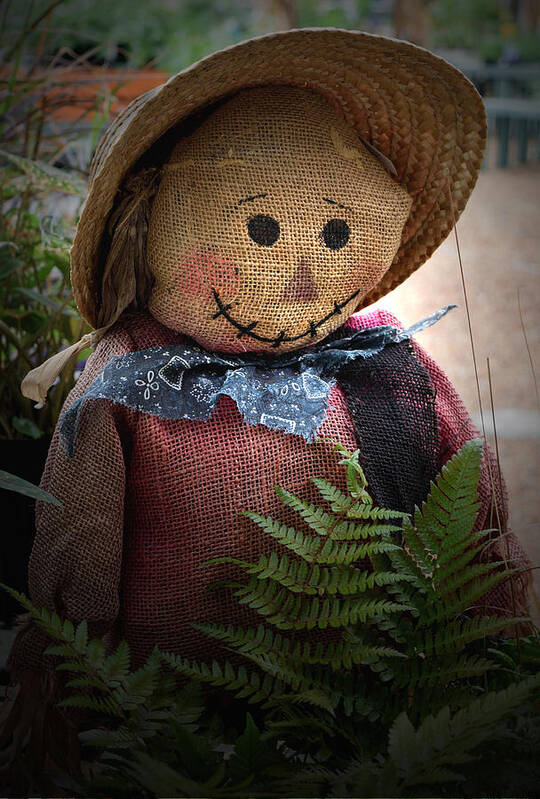 Fall Poster featuring the photograph Happy Scarecrow by Karen Harrison Brown