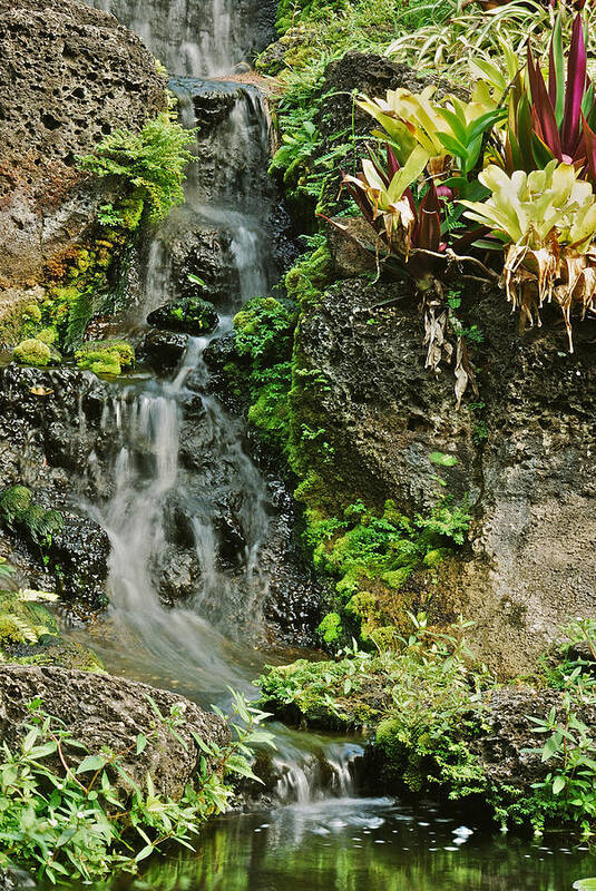 Waterfall Poster featuring the photograph Hawaiian Waterfall by Michael Peychich
