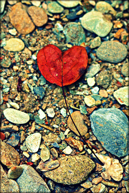 Heart Poster featuring the photograph Heart on the Rocks by Susie Weaver