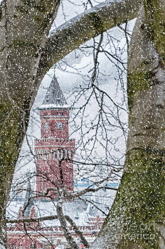 Sweden Poster featuring the photograph Helsingborg Town Hall Snowing by Antony McAulay