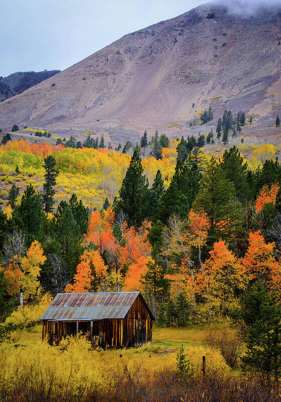 Hope Valley Poster featuring the photograph Hope Valley Cabin by Steph Gabler