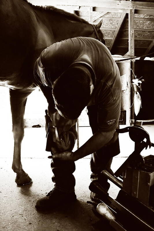 Farrier Poster featuring the photograph Horse and Farrier by Angela Rath