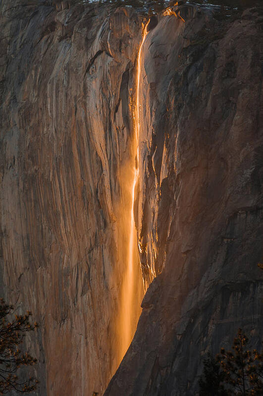  Poster featuring the photograph Horsetail Fall 1 Yosemite by TM Schultze