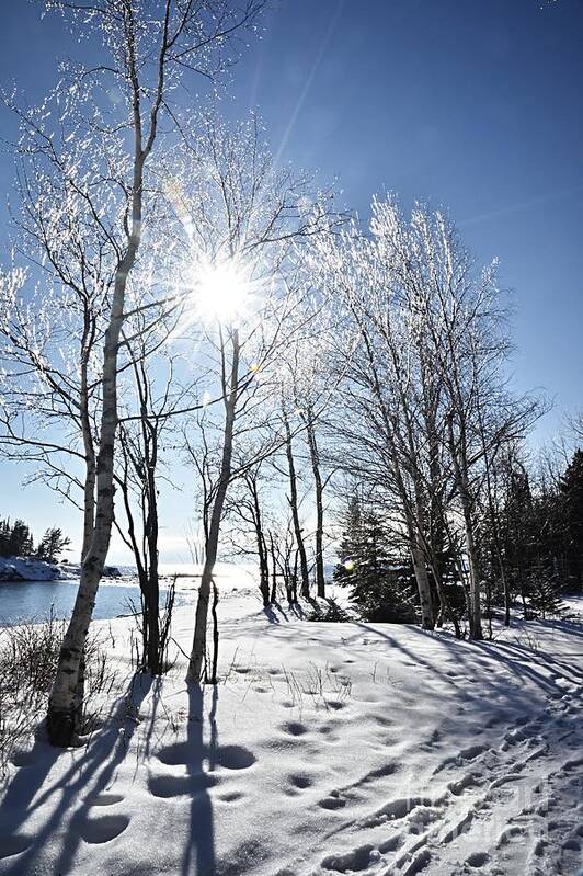 Photography Poster featuring the photograph Icy Sunburst by Larry Ricker