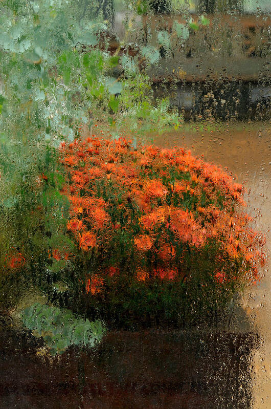 Mum Poster featuring the photograph Impressionistic Mums by Don Schroder