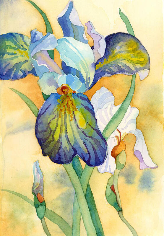 Watercolor Poster featuring the painting Iris by Casey Shannon