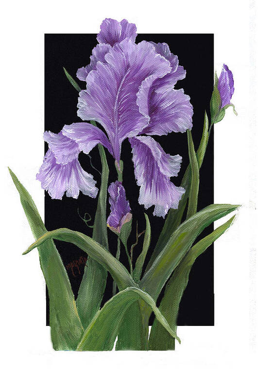 Paining Poster featuring the painting Iris One by Marveta Foutch