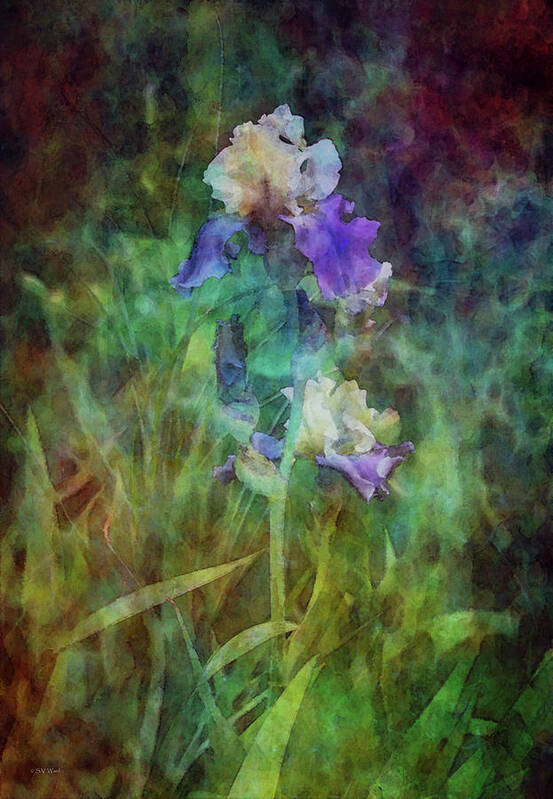 Impressionist Poster featuring the photograph Irises 6618 IDP_3 by Steven Ward