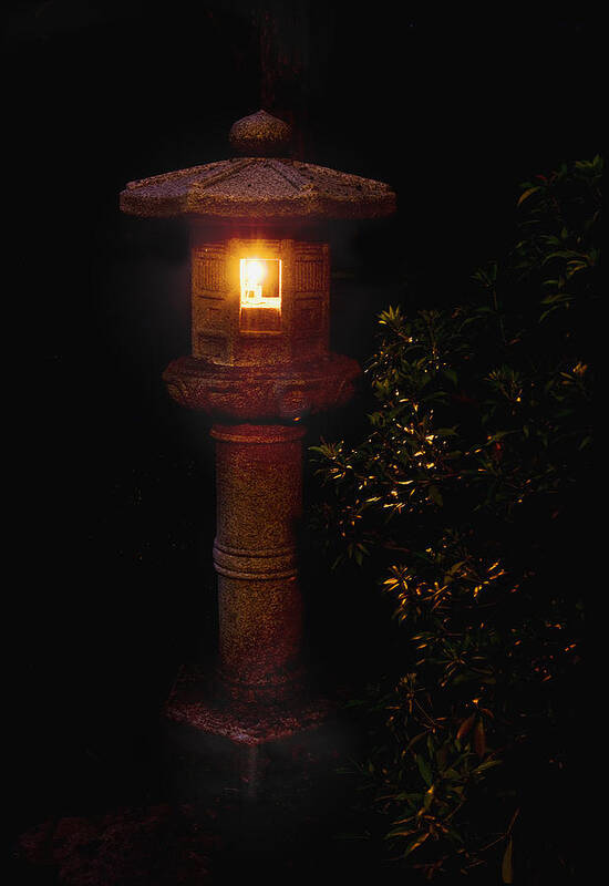 Garden Poster featuring the photograph Japanese Lantern shines in the dark by John Christopher