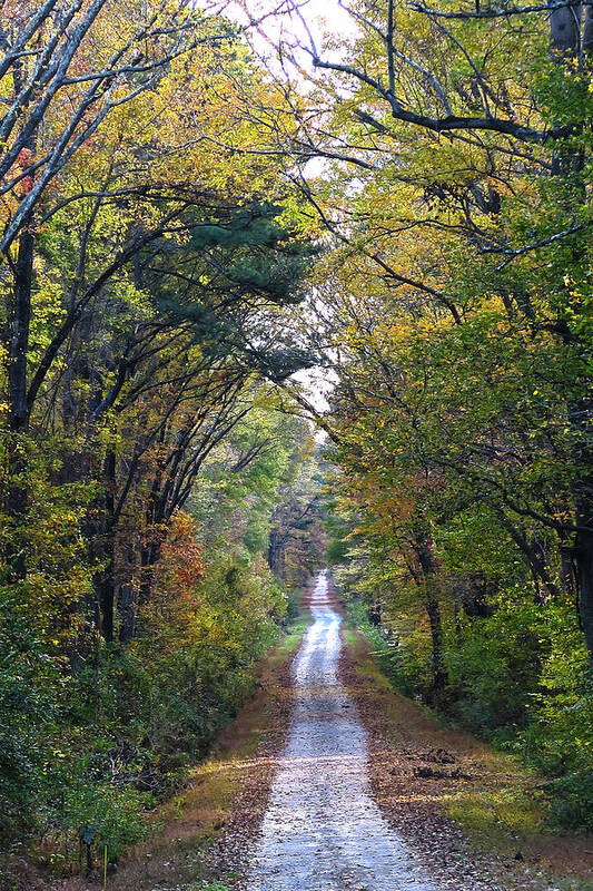 Fall Poster featuring the photograph Jericho Trail by Mike Cockrill