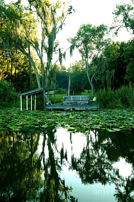 Lake Poster featuring the photograph Lakeside 3 by Kathi Shotwell