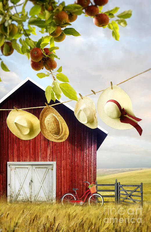 Atmosphere Poster featuring the photograph Large red barn with hats on clothesline in field of wheat by Sandra Cunningham
