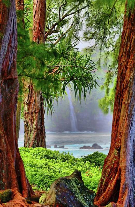 Hawaii Poster featuring the photograph Laupahoehoe Hawaii by DJ Florek