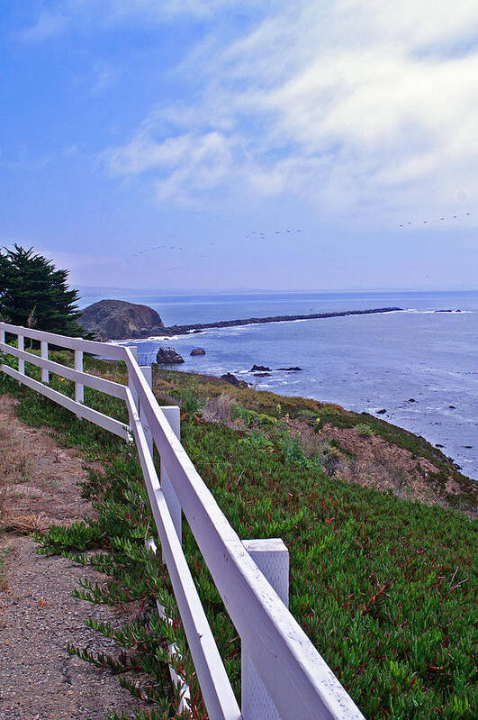 Lighthouse Poster featuring the photograph Lighthouse Look Out by Gary Brandes