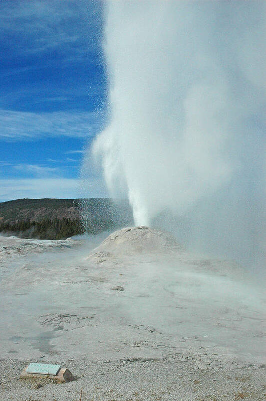 Yellowstone Poster featuring the photograph Lion Geyser Yellowstone by Bruce Gourley