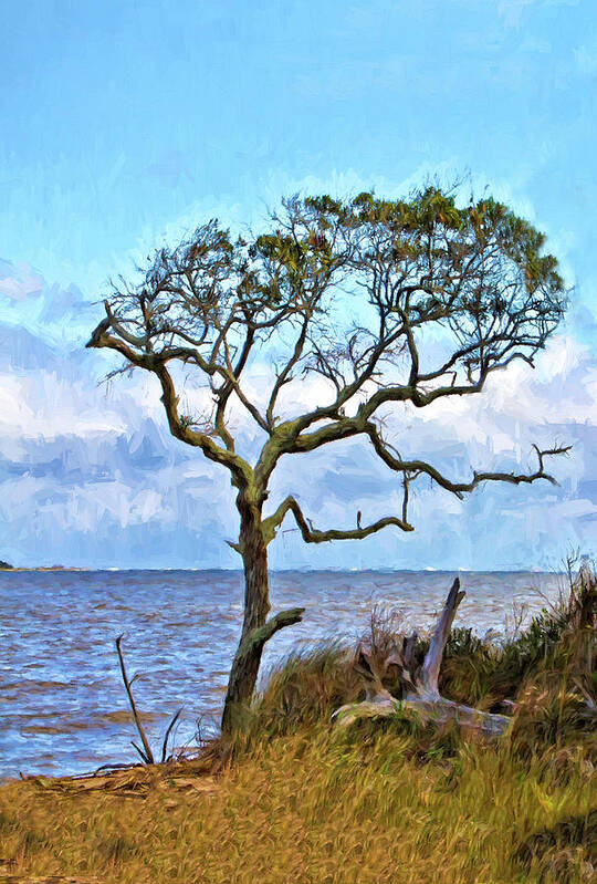 Sandra Anderson Poster featuring the photograph Live Oak on Winyah Bay by Sandra Anderson