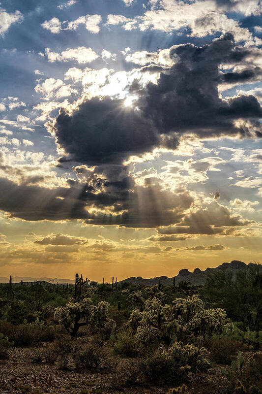 Sunset Poster featuring the photograph Look Up in the Clouds by Saija Lehtonen