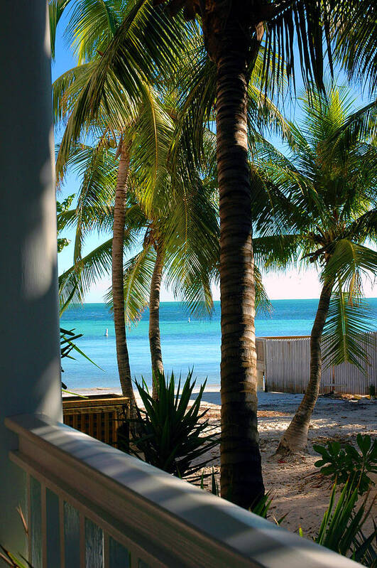 Photos Of Key West Poster featuring the photograph Louie's Backyard by Susanne Van Hulst