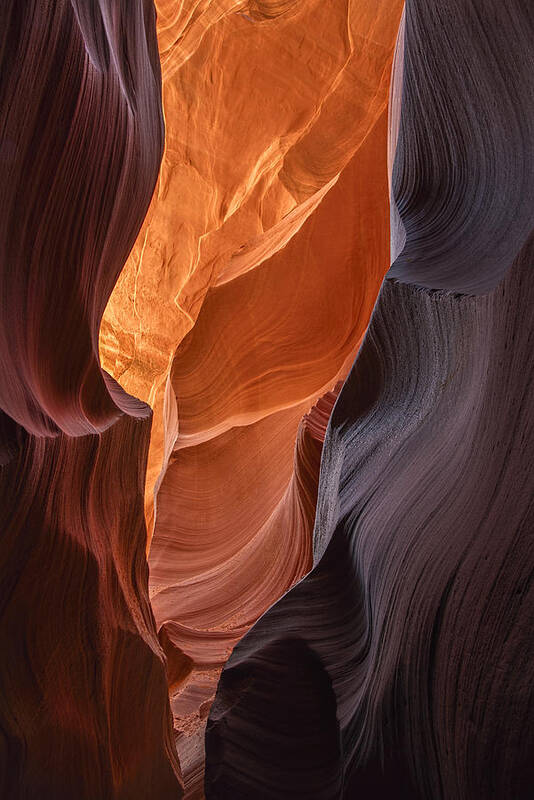 Antelope Canyon Poster featuring the photograph Lower Antelope Canyon Vertical by Dave Dilli